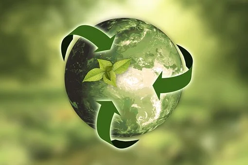Sustentabilidade Sustentabilidade