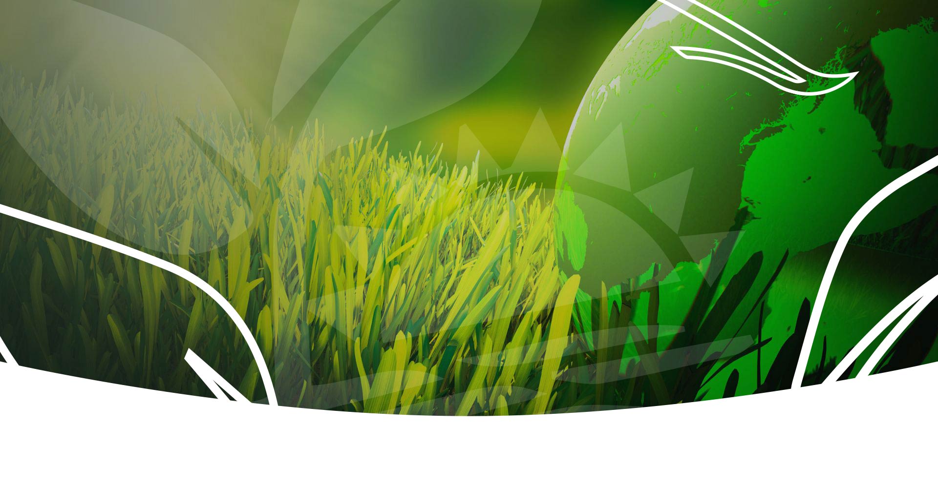 A melhor solução para o meio ambiente e para o seu bolso!