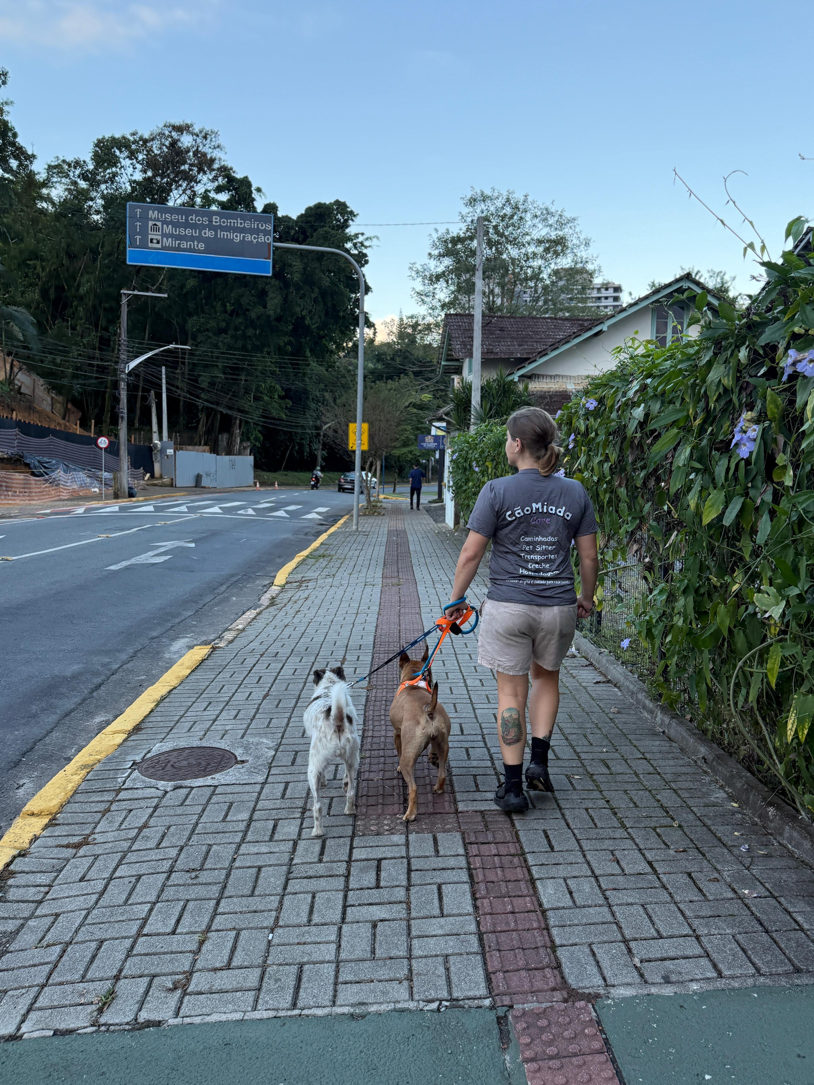 CãoMiada  Serviços Pet (1)