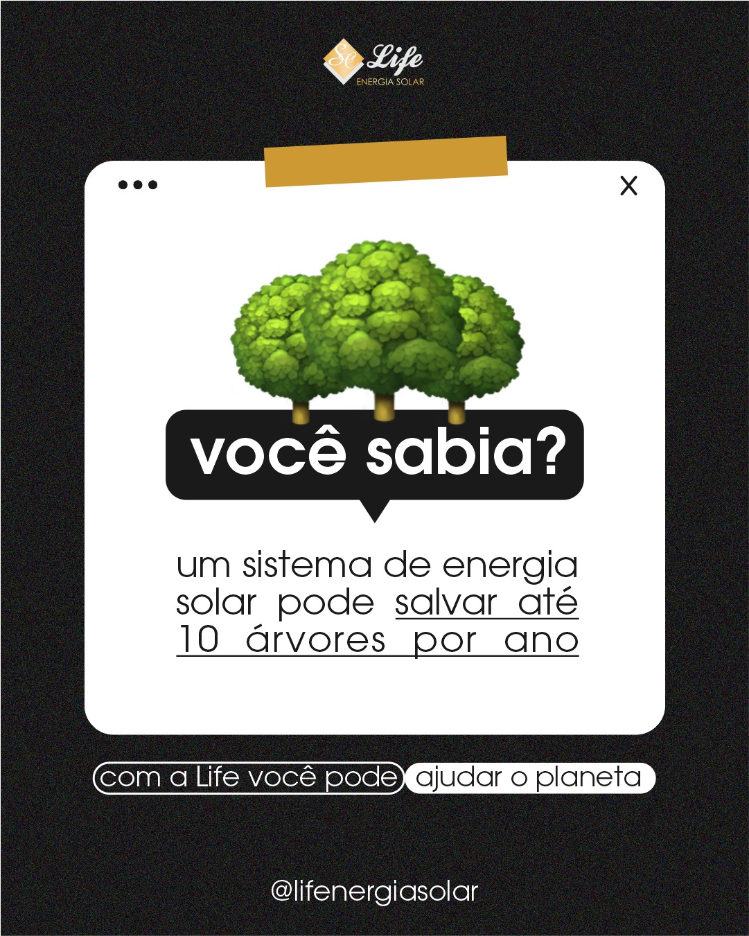 405277274_321858397357351_8535012502634775144_n