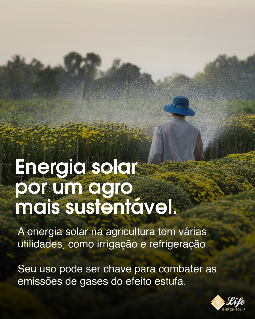 405385126_323749717168219_5401672897558560011_n