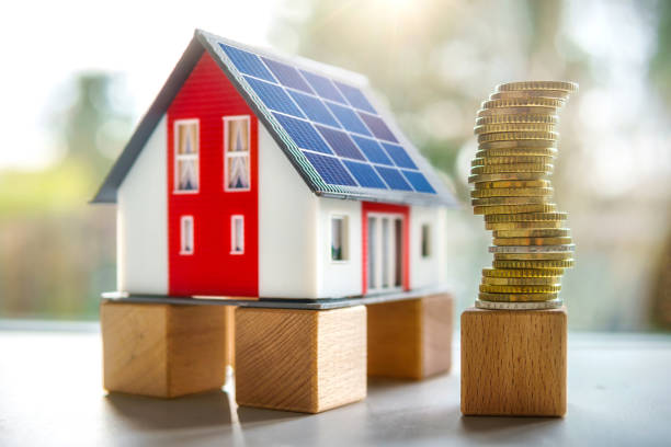 istockphoto-1482197867-612x612