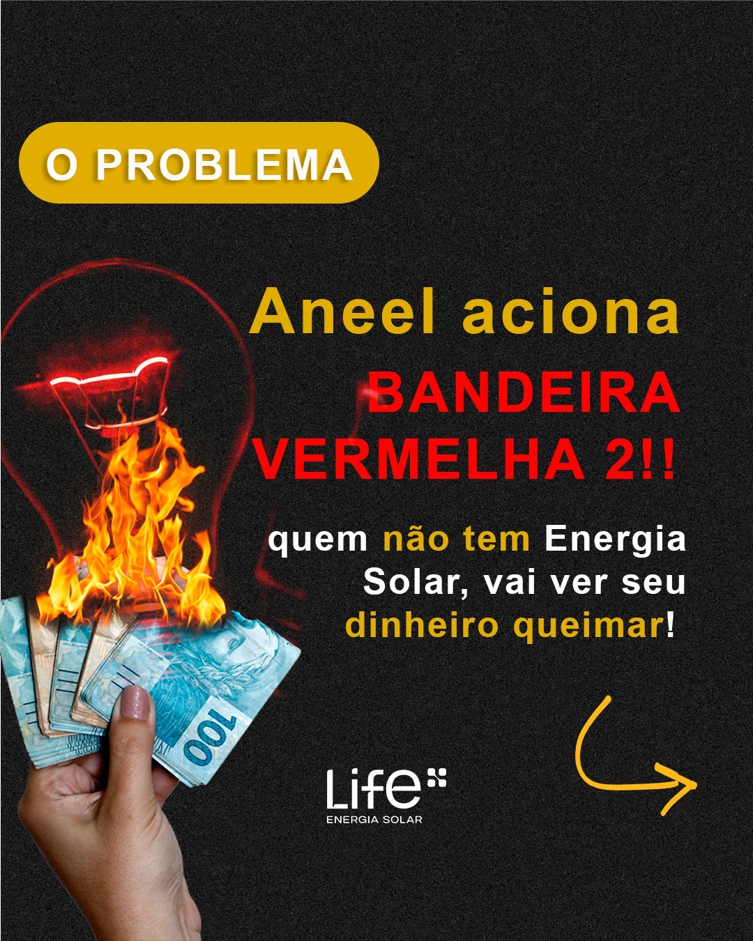 458165672_1923055061473600_6022608846150752733_n