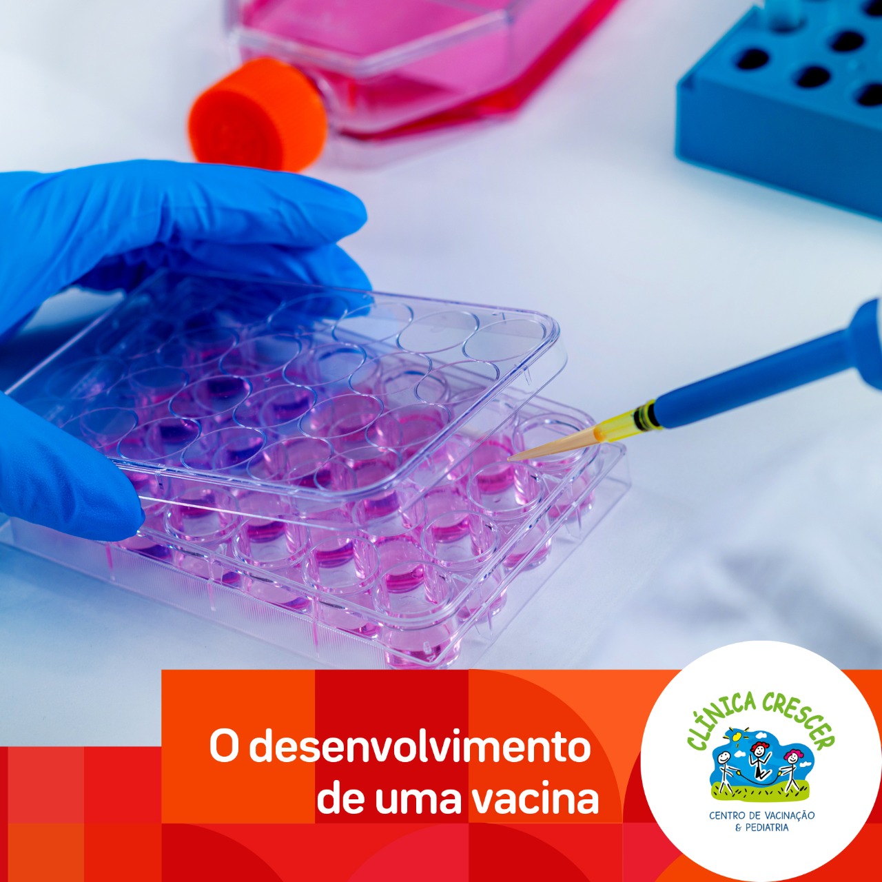 WhatsApp Image 2021-01-13 at 14.49.22 (1)