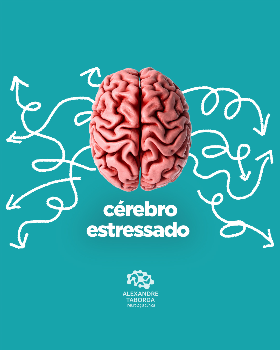 DrALEX_cérebro_1080x1350