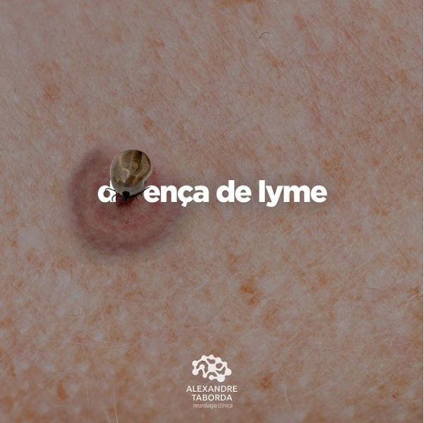 Captura de Tela 2021-06-09 às 11.38.59