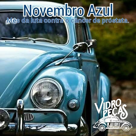 NOVEMBRO AZUL