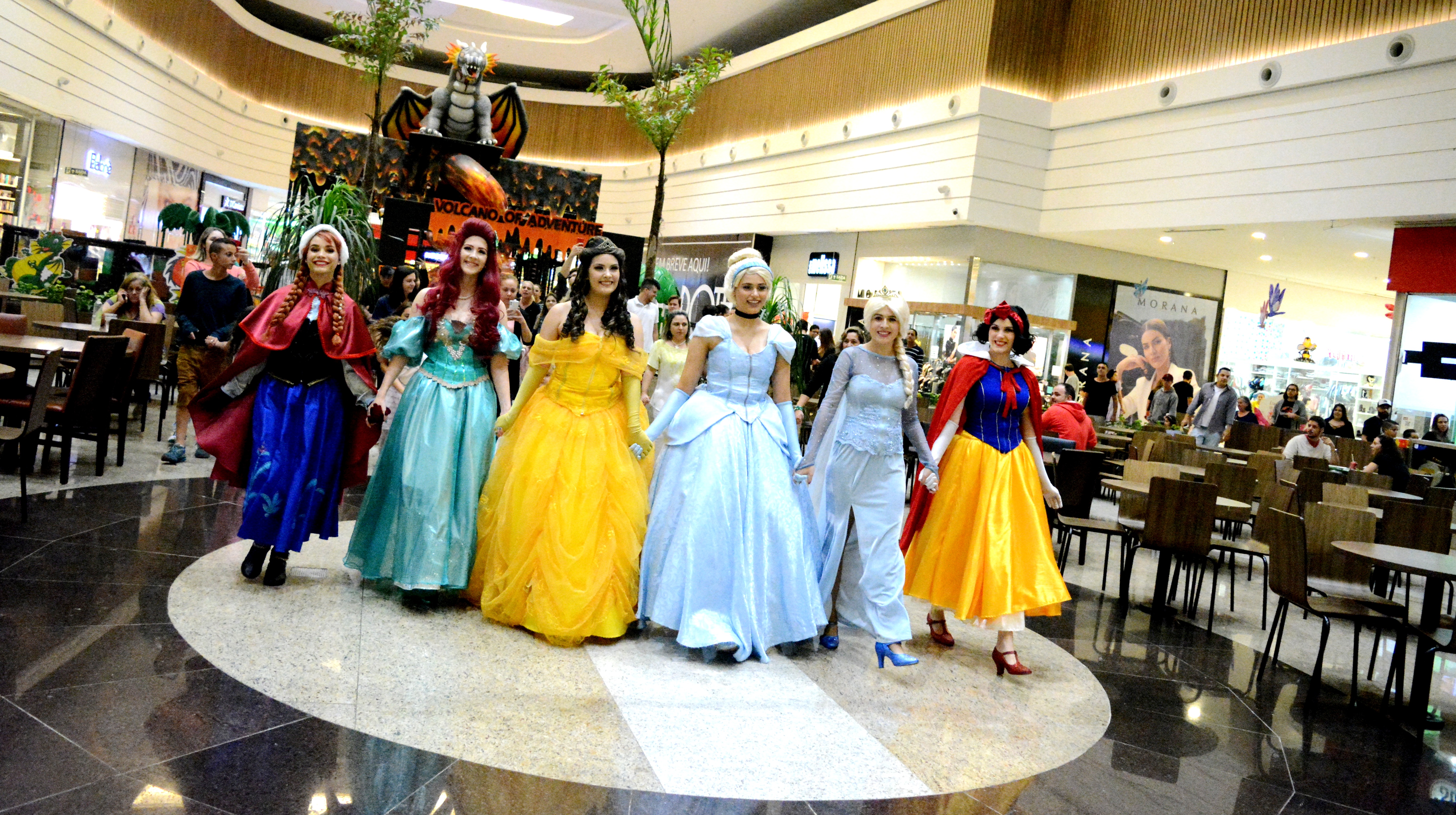 DSC-0178 DSC-0178