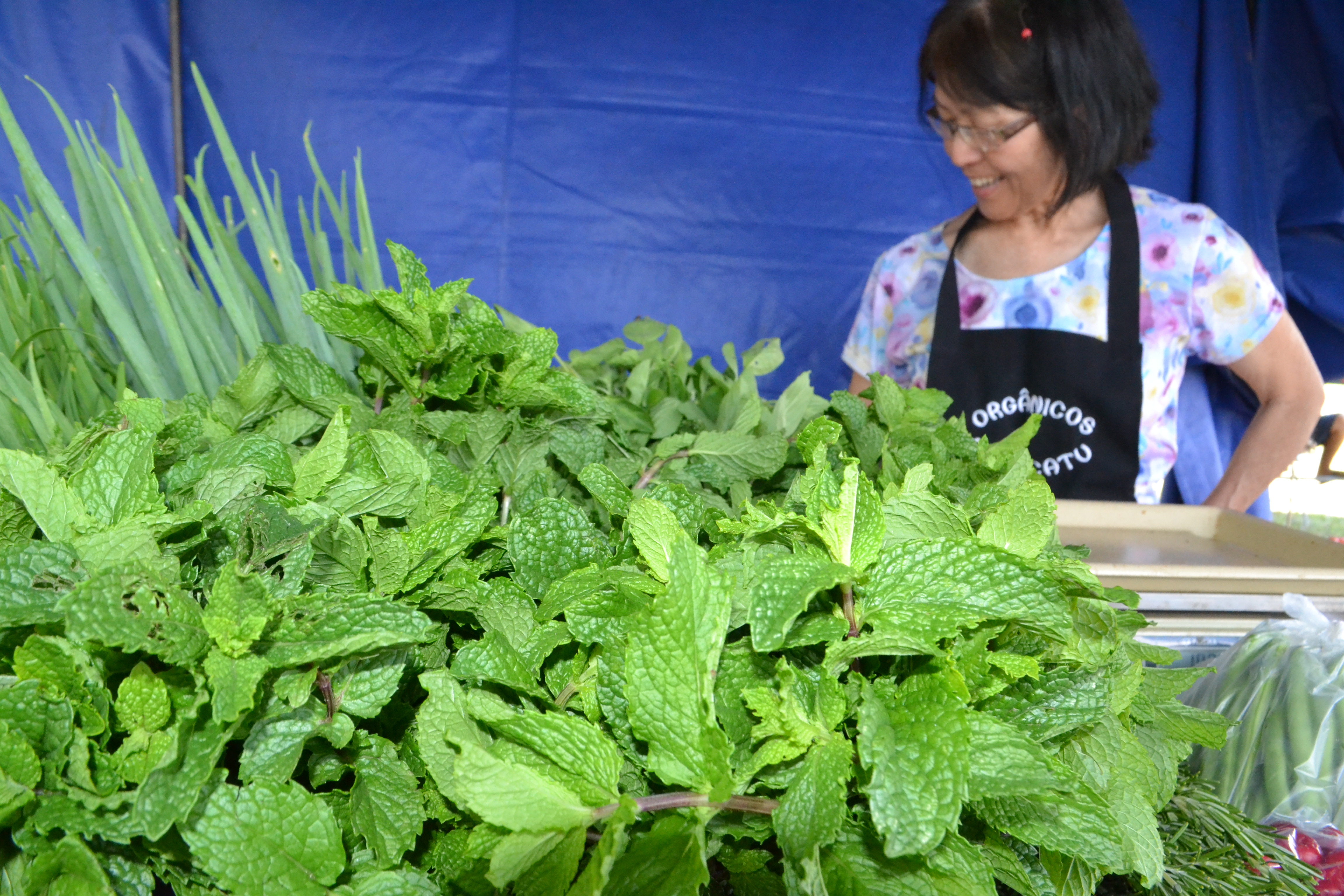 FEIRA-UNESP--3- FEIRA-UNESP--3-