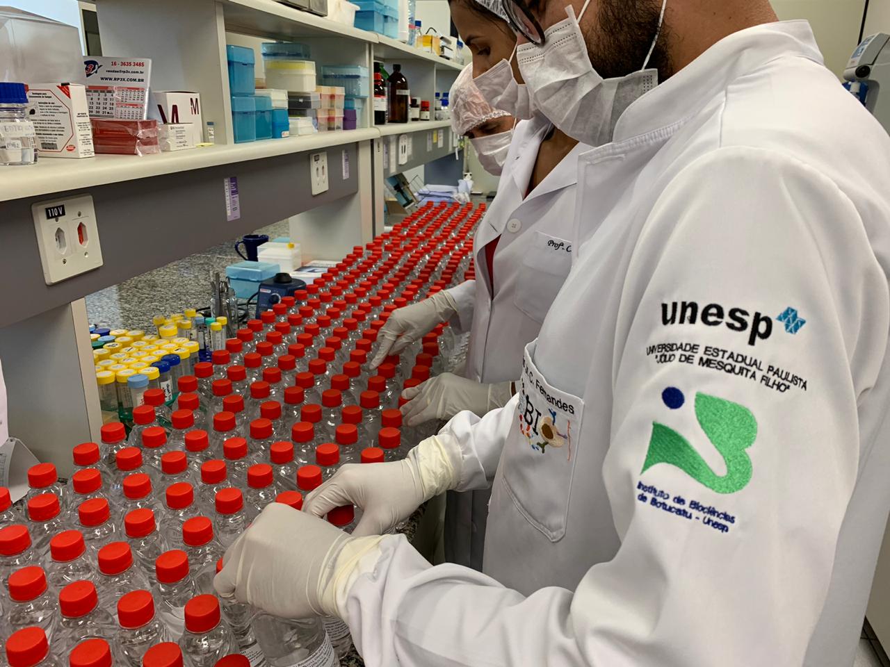 IBB-UNESP-PRODUZ-ANTISSEPTICO-NO-COMBATE-AO-CORONAVIRUS IBB-UNESP-PRODUZ-ANTISSEPTICO-NO-COMBATE-AO-CORONAVIRUS