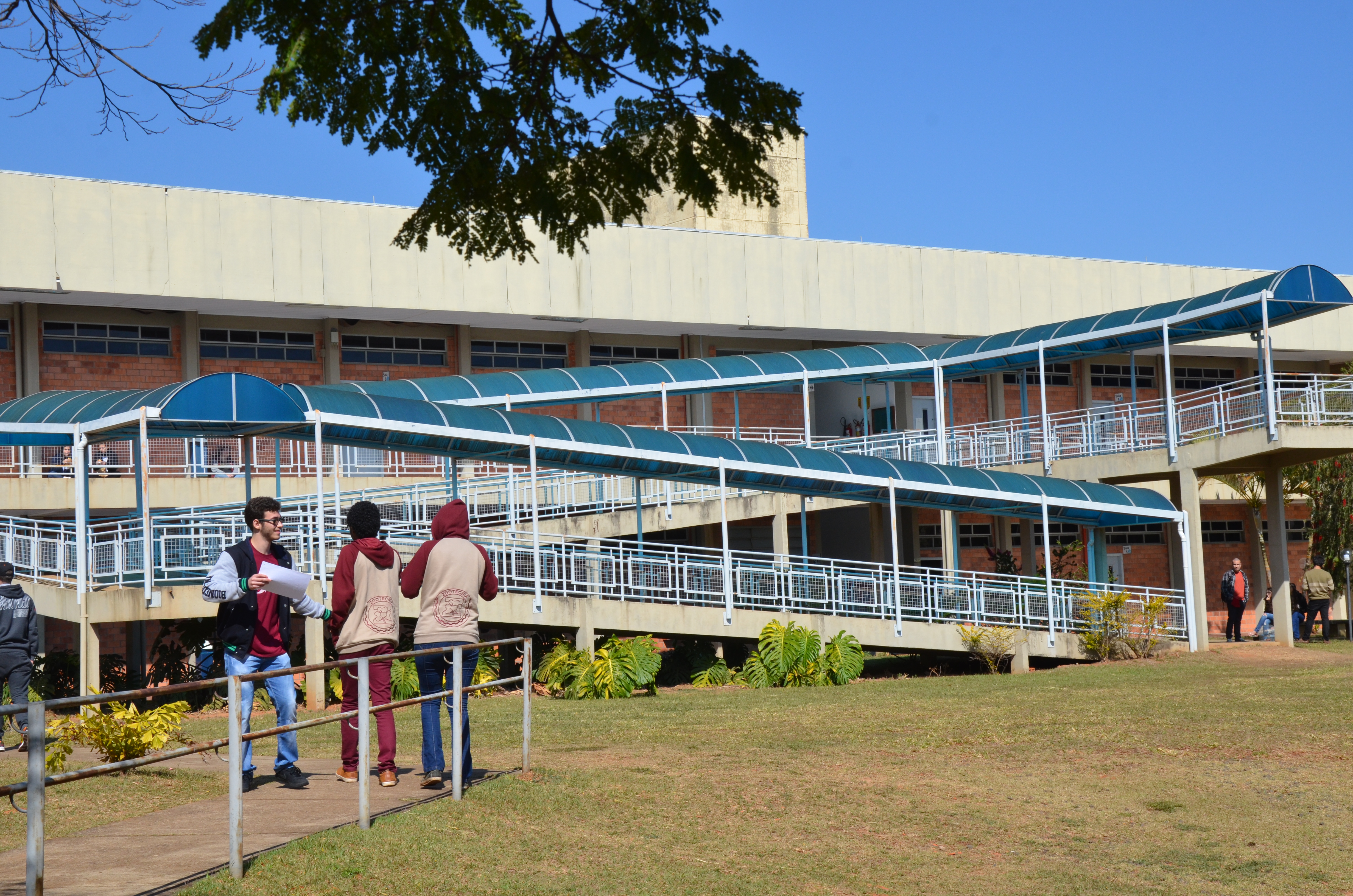 CAMPUS-UNESP-BOTUCATU---IMAGEM-ARQUIVO-IB--11- CAMPUS-UNESP-BOTUCATU---IMAGEM-ARQUIVO-IB--11-
