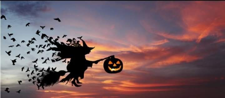 WhatsApp Image 2019-10-23 at 16.13.18