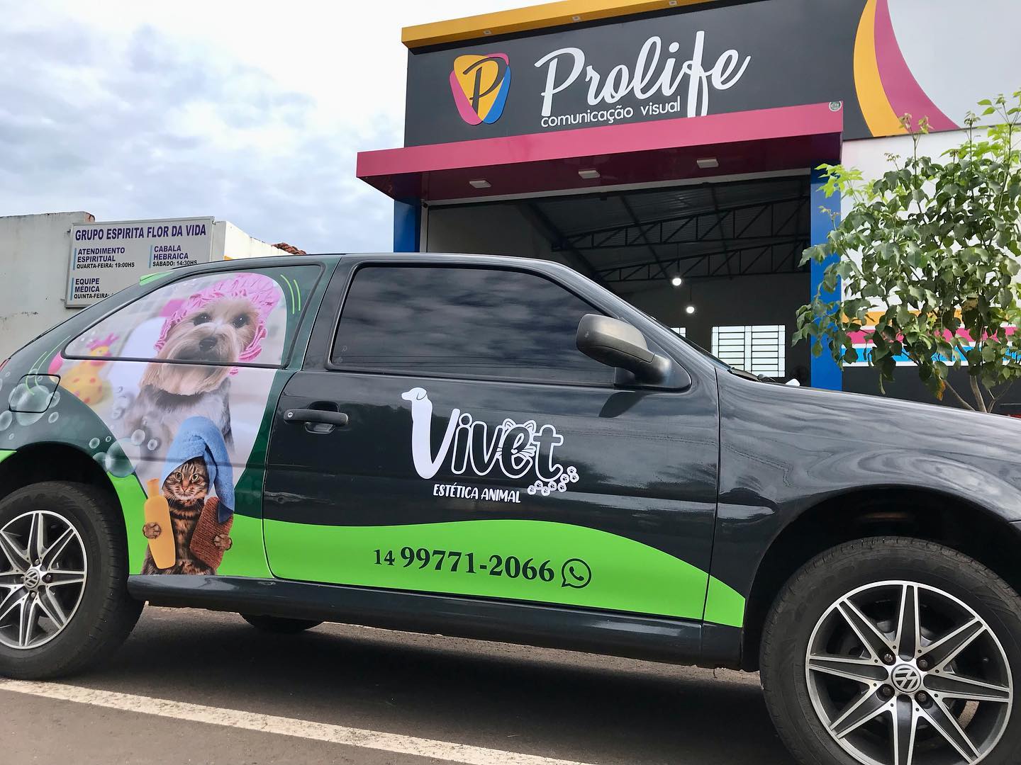 336496776_904601657435178_236415081641098245_n