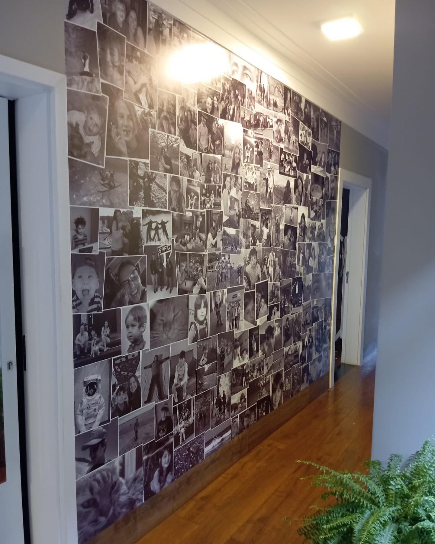 prolifecomunicacaovisual_470170586_18085559200538206_3440511056177041338_n