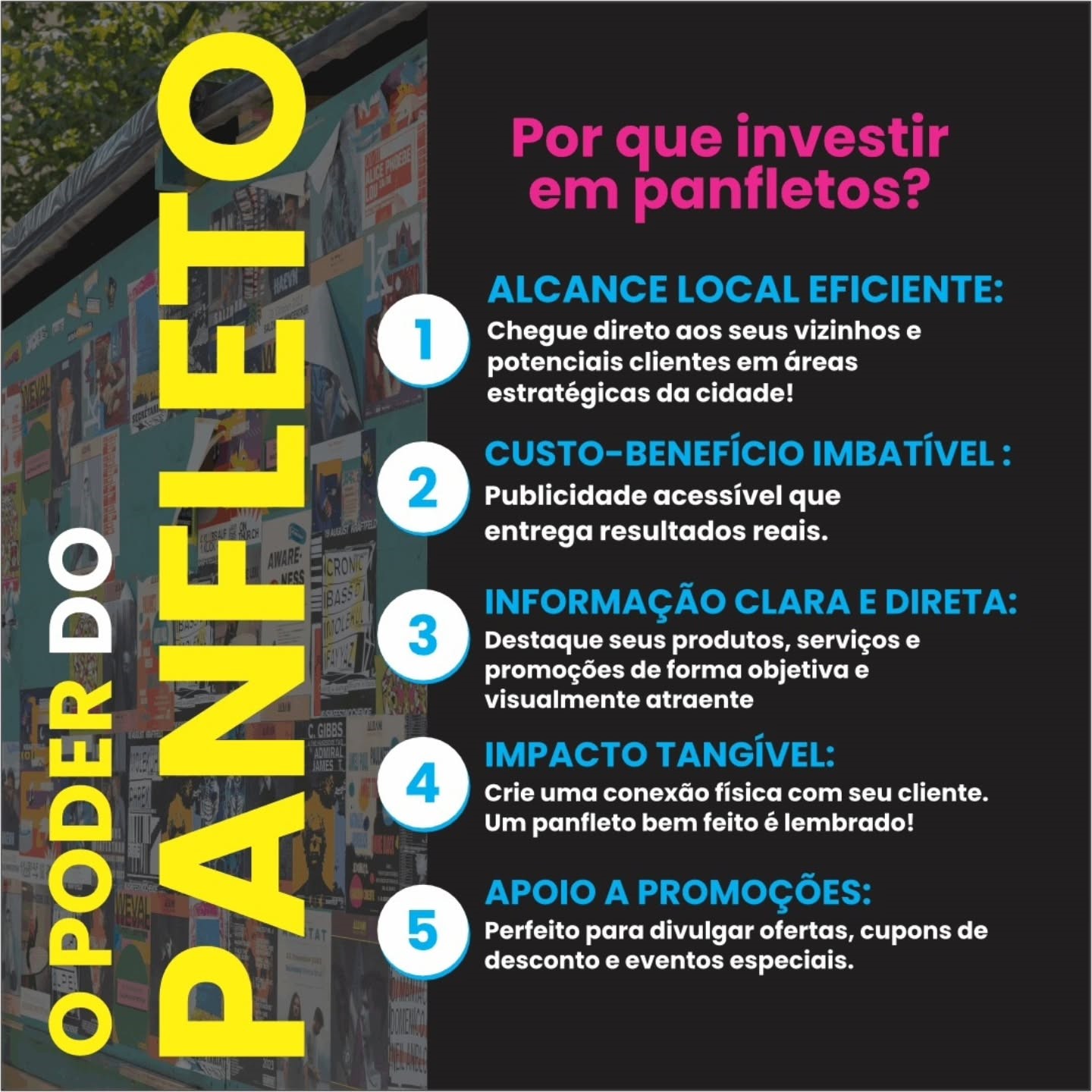 prolifecomunicacaovisual_503559653_648556881539537_5806273331018952461_n