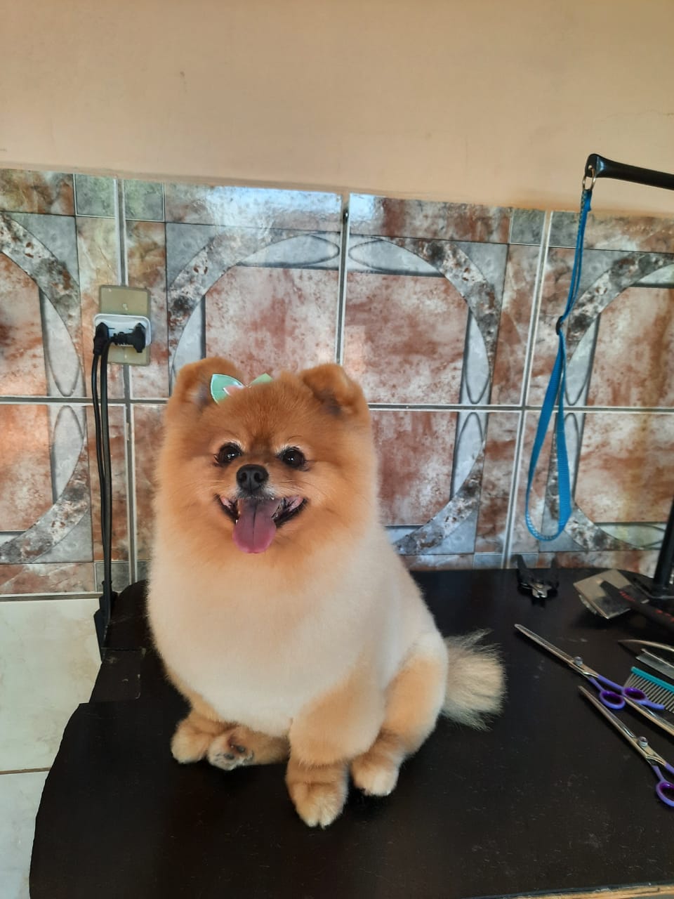 5f3dc79d-4657-4bfa-824a-5b2809857e07