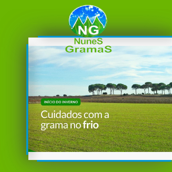 600 x 600 produtos(7)