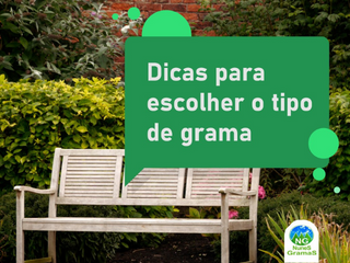 tipos de grama
