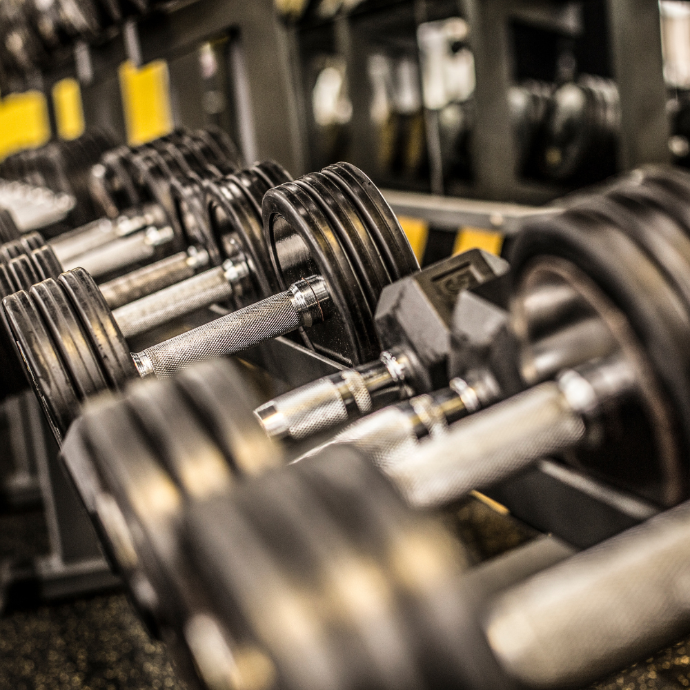 Capa - Post GMB Plus (14)