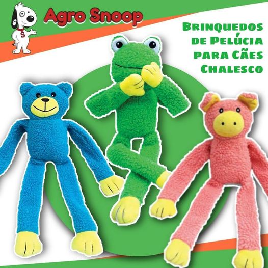 143689157_1603041543237078_5771002262626747319_o