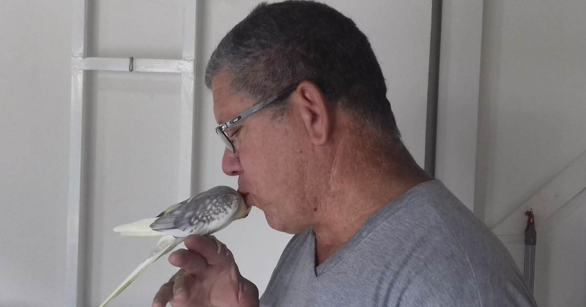 Manuel Mathias montou o Hotel Para Pássaros Piu Piu, apos perder um pássaro que tinha esse nome