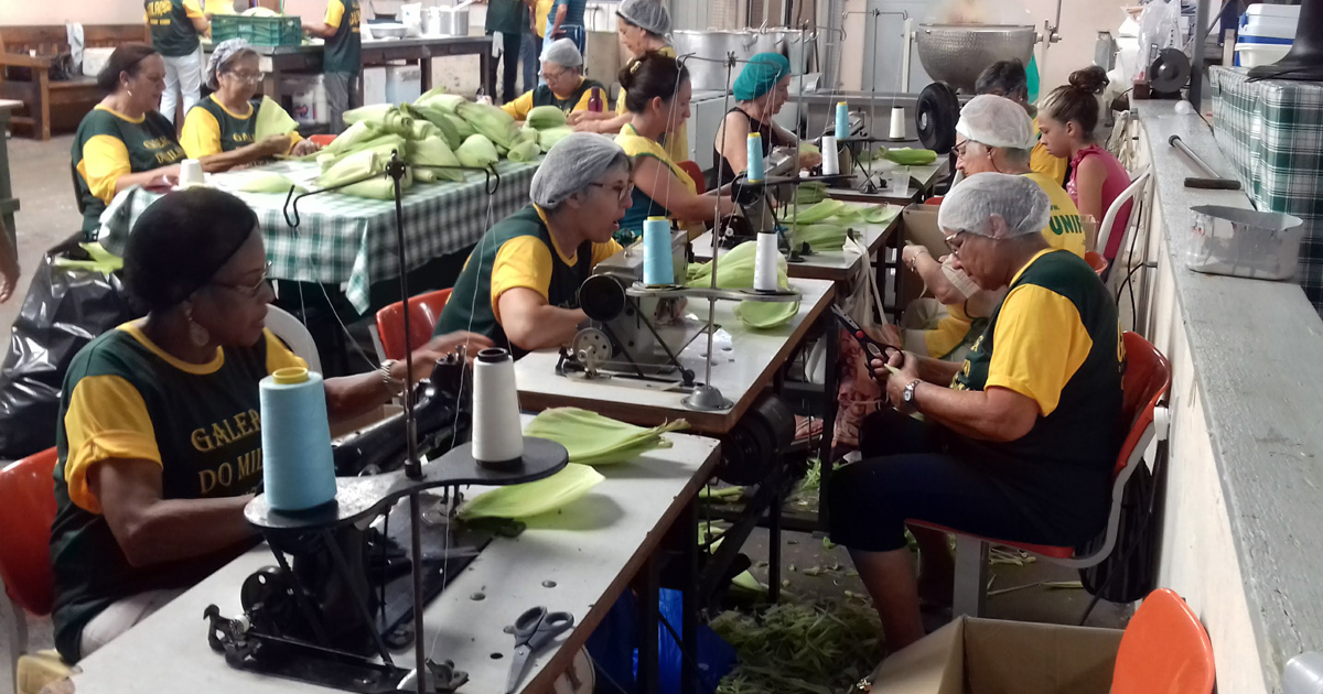 Voluntários trabalham na preparação dos produtos que são servidos na Festa do Milho
