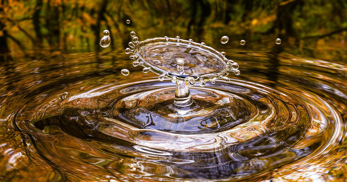 gua_Arek Socha - Pixabay