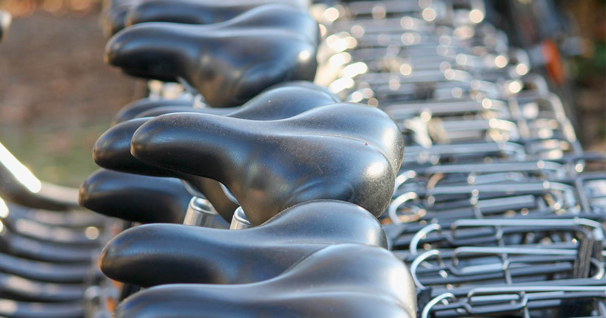 Foto de Manfred Richter - Pixabay