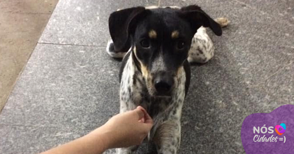 Foto : Átila Gasparotto