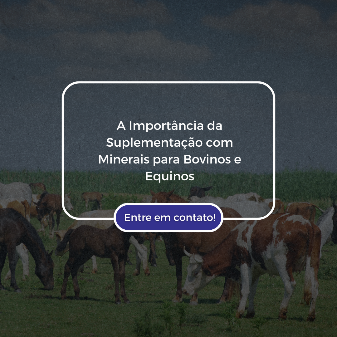 Como os Espelhos Podem Transformar Seu Espaço Dicas de Estilo e Funcionalidade (3)
