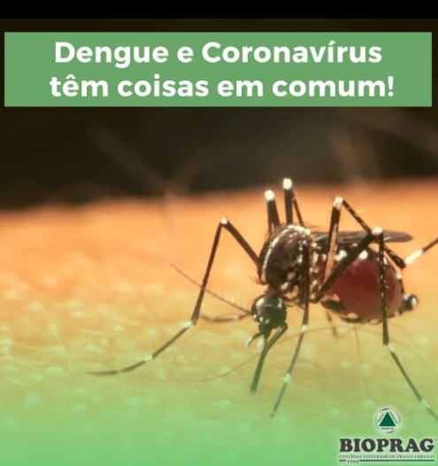 Captura de tela 2022-12-01 111152