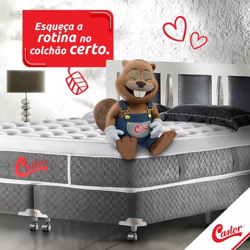 post exclusiva castor esqueça a rotina no colchao certo