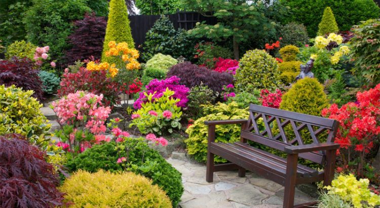 jardinagem em Bauru jardinagem em Bauru