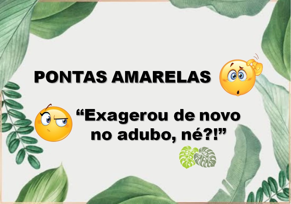 mais verde dica1 mais verde dica1