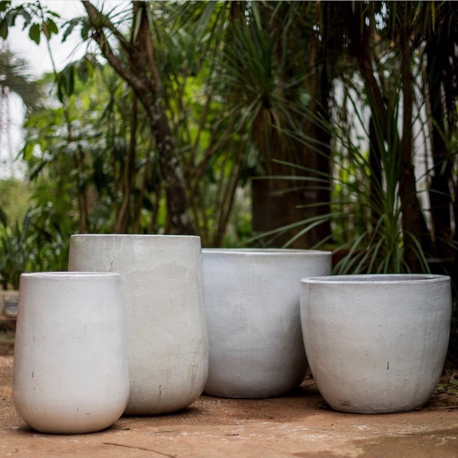 vasos vasos