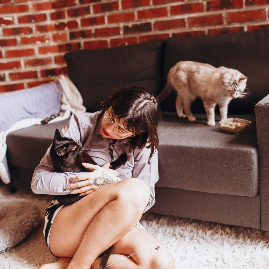 Design sem nome (93)