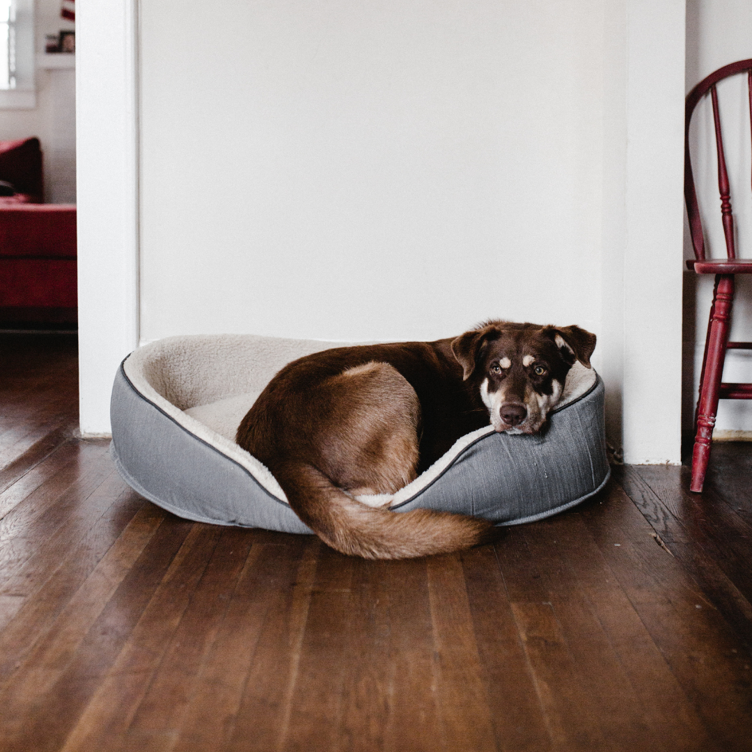 Design sem nome (94)