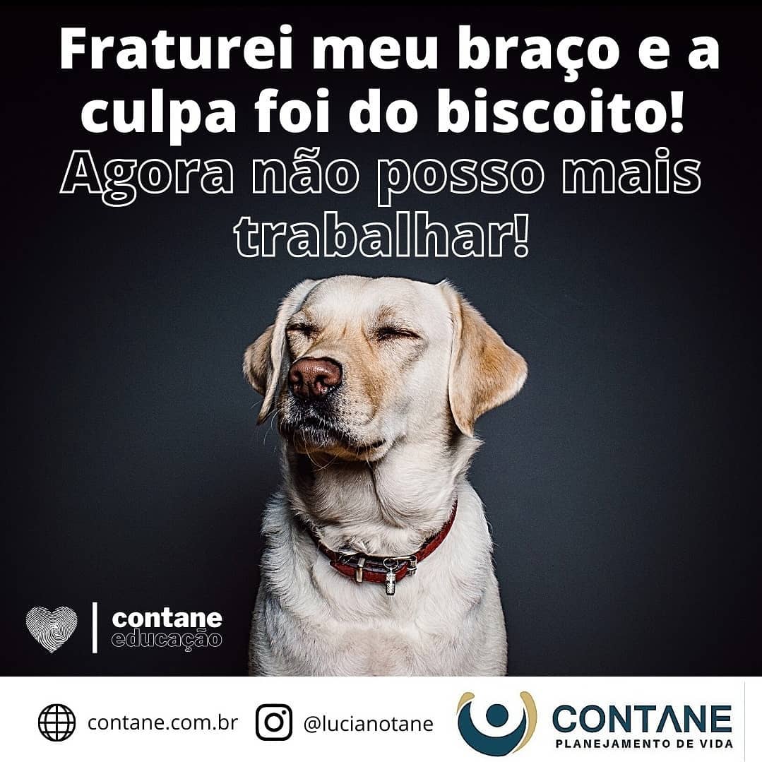 179938355_2284632708334778_3702426569487572704_n