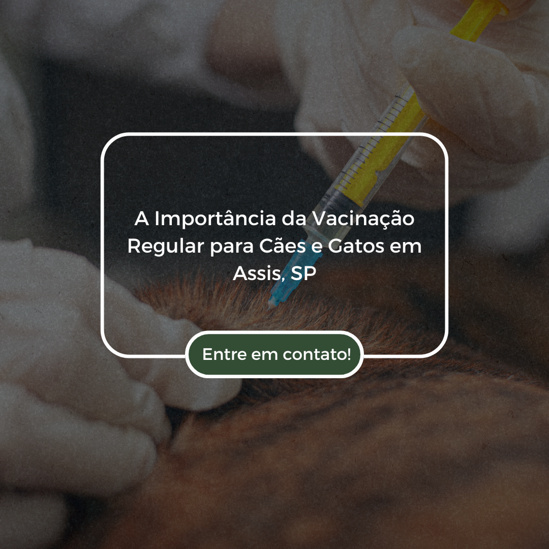 Manutenção Preventiva A Importância da Troca Regular de Pneus para Caminhões e Carros