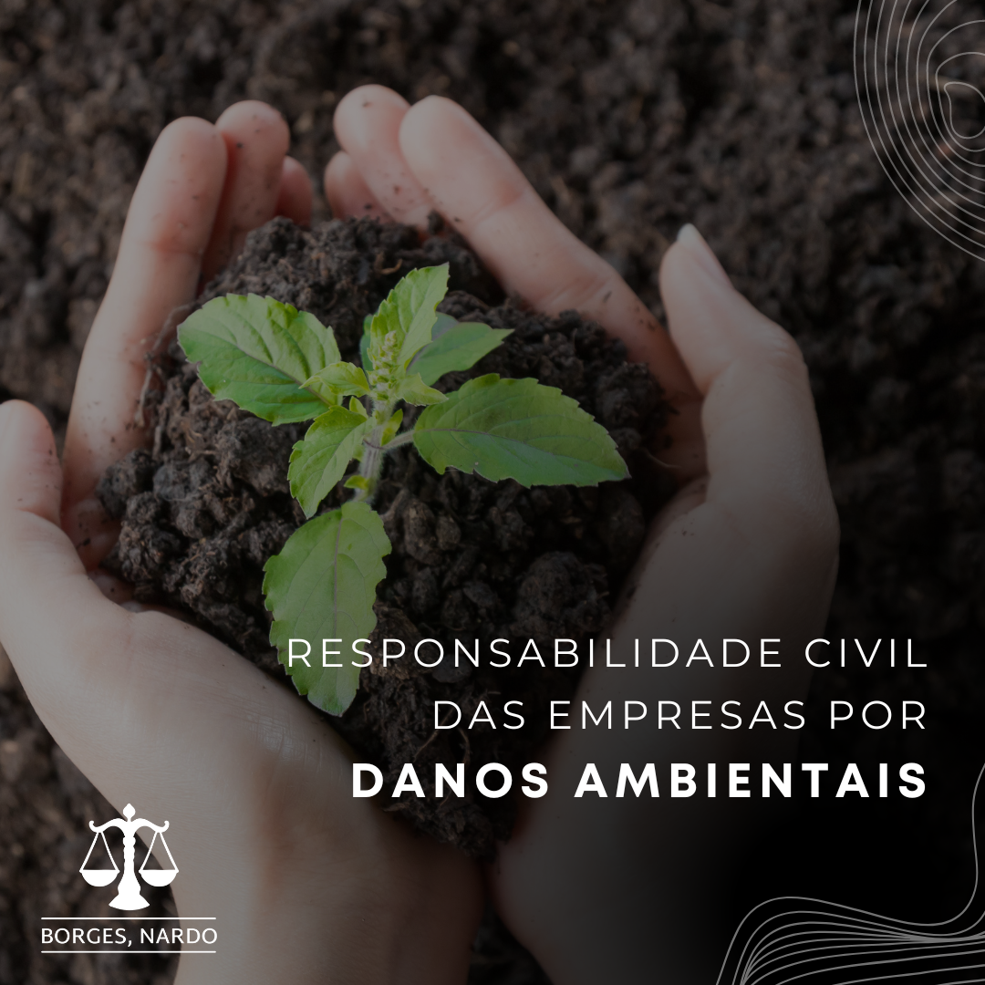4-Responsabilidade civil das empresas por danos ambientais