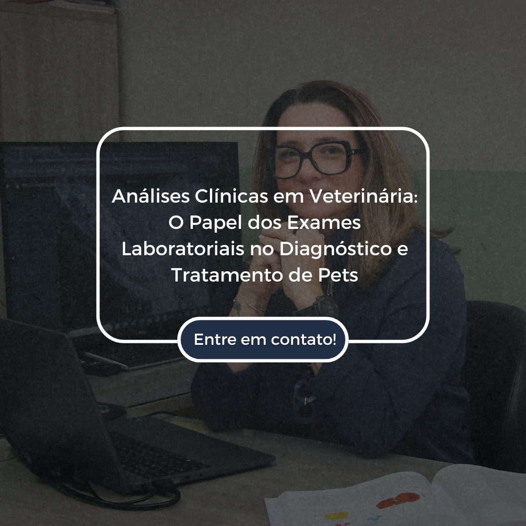 Como os Espelhos Podem Transformar Seu Espaço Dicas de Estilo e Funcionalidade (2)