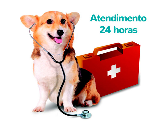 atendimento24horas-1