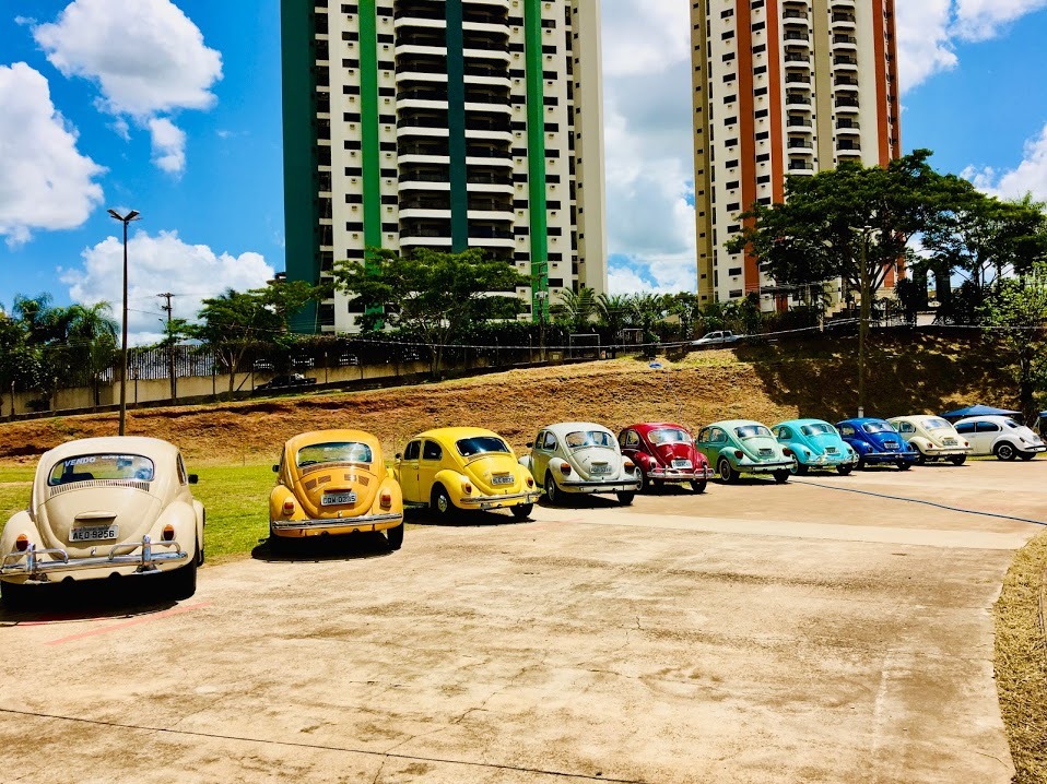 83065277_10215620815409825_8683320186176012288_n