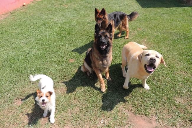 580f3880-36dc-4b8c-9343-7fccac1f18e1