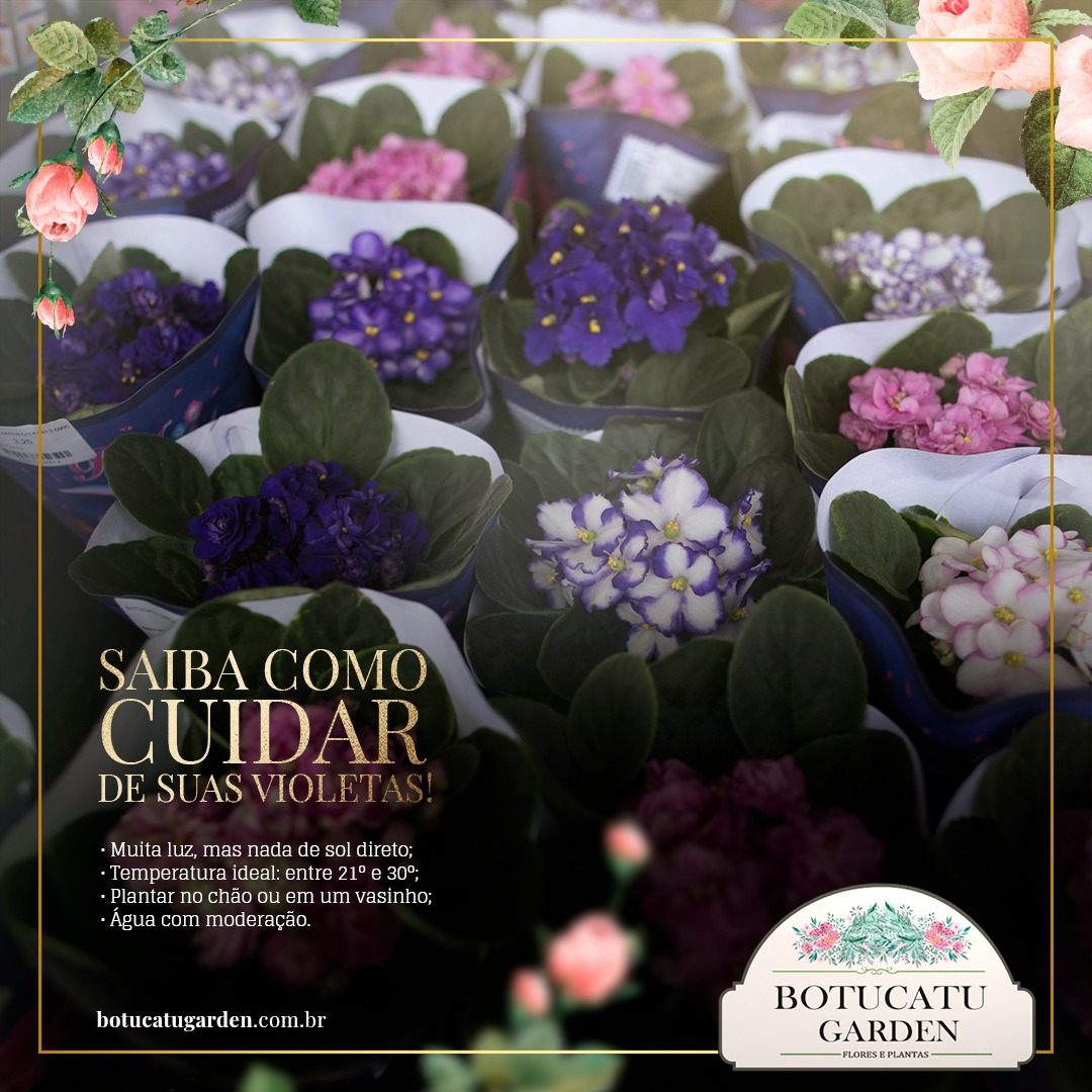 04035cbc-db6f-4b05-8079-edcc68052811