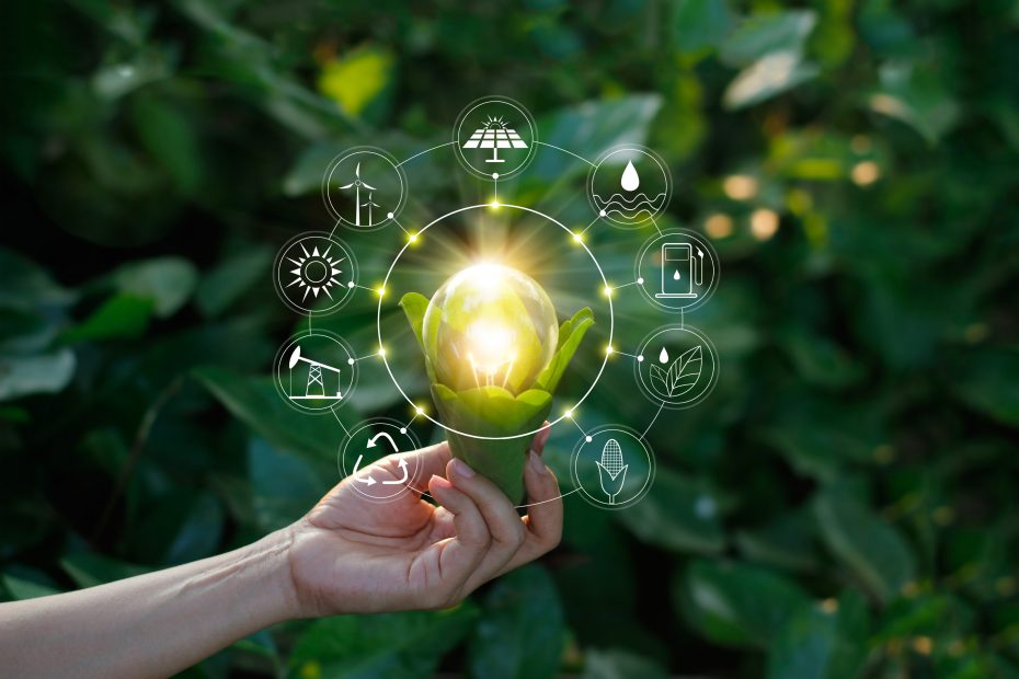 Empreendedorismo sustentável Empreendedorismo sustentável