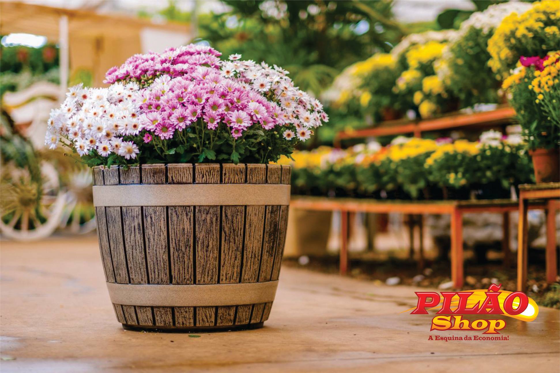 56835534_2417009624978202_5289859619299000320_o