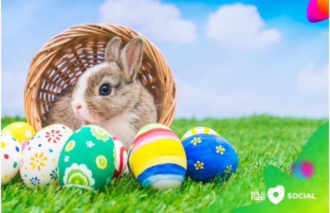 WhatsApp Image 2019-04-15 at 16.19.28