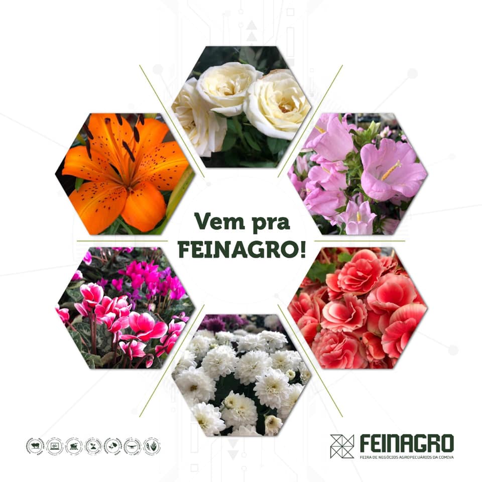 59859592_336384753732234_2134892917012037632_n