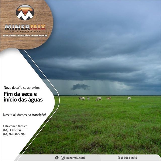 69397612_150411256203502_1862812588317787591_n